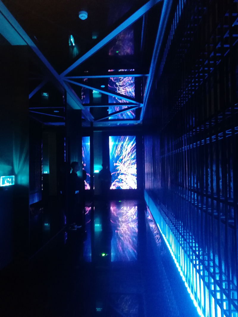 夜猫视频APP下载手机版设计公司